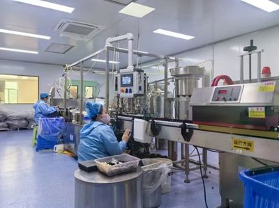 通化 人參產業“新新”向榮，西洋參成新亮點