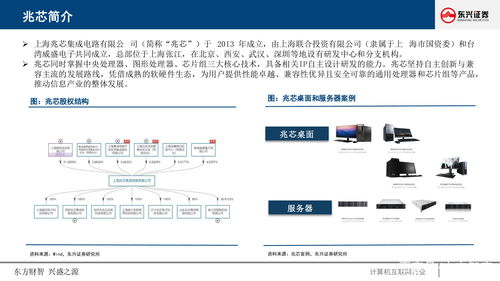 計算機行業(yè)深度研究報告 CPU生態(tài)價值與機遇研究——以重慶計算機軟硬件研發(fā)及銷售為例